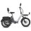 Bicicleta Elétrica Fafrees F20 Mate II 250W 48V21Ah 20 polegadas
