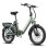 Bicicleta Eléctrica Plegable Fafrees F20 Flex 250W 36V 25Ah Verde Morado