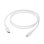 Kabel USB C DBRAMANTE1928 CB10CLWH7145 1 m USB 2.0 Weiß