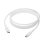 Cavo USB-C a USB-C DBRAMANTE1928 2 m Bianco