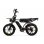 Bicicleta Elétrica Pixar M9 - Motor 250W Bateria 48V 35Ah Freios Hidráulicos Preto