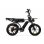 Bicicleta Elétrica Pixar M9 - Motor 250W Bateria 48V 35Ah Freios Hidráulicos Preto