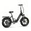 Bicicleta Elétrica Maxturn Literider 2.0 500W 48V 13.5Ah 20 Polegadas