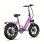Bicicleta Elétrica Maxturn Literider 2.0 500W 48V 13.5Ah 20 Polegadas Freios a Disco Hidráulicos Roxo