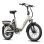 Vélo Électrique Pliable Fafrees F20 Flex - Moteur 250W Batterie 36V20Ah Beige