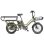 Bicicleta Elétrica Fafrees Ff20 Cuv 250w 48v24ah 20" Freios Hidráulicos Verde