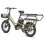 Bicicleta Elétrica Fafrees Ff20 Cuv 250w 48v24ah 20" Freios Hidráulicos Verde