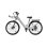 Bicicleta Eléctrica Pixar C1 Pro Motor 250W Batería 36V 18Ah Frenos Hidráulicos