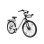 Bicicleta Eléctrica Pixar C1 Pro Motor 250W Batería 36V 18Ah Frenos Hidráulicos