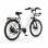 Bicicleta Eléctrica Pixar C1 Pro Motor 250W Batería 36V 18Ah Frenos Hidráulicos