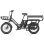 Bicicleta Elétrica Fafrees Ff20 Cuv 250w 48v24ah 20" Freios Hidráulicos Preta