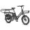 Bicicleta Elétrica Fafrees Ff20 Cuv 250w 48v24ah 20" Freios Hidráulicos Preta