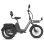 Bicicleta Elétrica Fafrees F20 Mate II 250W 48V25Ah 20 Polegadas Freios a Disco Hidráulicos Preto Intenso