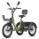Bicicleta Elétrica Fafrees F20 Mate II 250W 48V25Ah 20" Freio a Disco Hidráulico Verde Militar