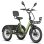 Bicicleta Elétrica Fafrees F20 Mate II 250W 48V25Ah 20" Freio a Disco Hidráulico Verde Militar