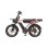 Bicicleta Elétrica Pixar M9 - Motor 250W Bateria 48V 35Ah Freios Hidráulicos Cor de Rosa Dourado