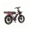 Bicicleta Elétrica Pixar M9 - Motor 250W Bateria 48V 35Ah Freios Hidráulicos Cor de Rosa Dourado