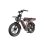 Bicicleta Elétrica Pixar M9 - Motor 250W Bateria 48V 35Ah Freios Hidráulicos Cor de Rosa Dourado