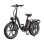 Bicicleta Elétrica Ovivo C2 Pro - Motor 250W Bateria 48V18ah 20 polegadas Freios Hidráulicos Preto