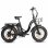 Vélo électrique Eskute D202 - Moteur 250W Batterie 48V20.8ah Pneus 20x4 Freins à disque Noir
