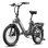 Elektrofahrrad Fafrees F20 Flex - Motor 250 W, Scheibenbremsen Mechanisch - Grau Gewehrschaft
