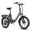 Elektrofahrrad Fafrees F20 Flex - Motor 250 W, Scheibenbremsen Mechanisch - Grau Gewehrschaft