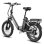 Elektrofahrrad Fafrees F20 Flex - Motor 250 W, Scheibenbremsen Mechanisch - Grau Gewehrschaft