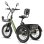Bicicleta Elétrica Fafrees F20 Mate II 250W 48V21Ah 20 Polegadas Freio a Disco Hidráulico Verde Militar