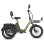 Bicicleta Elétrica Fafrees F20 Mate II 250W 48V21Ah 20 Polegadas Freio a Disco Hidráulico Verde Militar