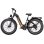 Bicicleta Eléctrica OVIVO V6 Pro 250W 48V 20Ah 26" Frenos Hidráulicos Negro Oro
