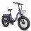 Vélo électrique Eskute D202 - Moteur 250W Batterie 48V20.8ah Pneus 20x4 Freins à disque