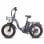 Vélo électrique Eskute D202 - Moteur 250W Batterie 48V20.8ah Pneus 20x4 Freins à disque