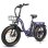 Vélo électrique Eskute D202 - Moteur 250W Batterie 48V20.8ah Pneus 20x4 Freins à disque