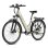 Bicicleta Eléctrica Fafrees F28 Pro Motor 250W Batería 36V 15Ah Champagne