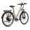 Bicicleta Eléctrica Fafrees F28 Pro Motor 250W Batería 36V 15Ah Champagne