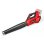 Soplador de hojas Einhell GP-LB 36/230 Li E BL-Solo 230 km/h Negro/Rojo