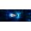 Disco duro Kingston DC2000B 240GB SSD M.2 PCIe 4.0 4500MB/s sin disipador