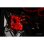 Wasserkühlung Alphacool Aurora XPX RGB 75 mm 15 LEDs Chromrahmen