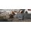 Solarpanel AFERIY AF-S200A1 200W Faltbar Tragbar IP65 Schutz