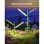 Gartenleuchte LED Govee RGBICWW 1100 lm IP66 Dimmbar