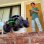 Camion Radiocomandato Monster Jam Grave Digger 1:15 Smash & Bash