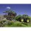 Tractor Siku 6793 1:32 Bluetooth con control remoto