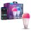 Pack Tira LED inteligente Govee H6098 RGBIC+W + Govee RGBWW Smart LED Bulb