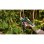 Bosch EasyPrune Classic 3,6V kabellose Heckenschere Power Assist