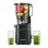 Extracteur de jus lent AMZCHEF SJ-036CBK 250W 2.5L