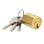 Cylindre de Serrure Iseo 56310801.5 Laiton Poli Profil Européen 80 mm