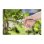 Gardena Bp 50 Premium 8702-20 Tijeras De Podar De Bypass Con Hoja De Acero Inoxidable 24 Mm, Cuerpo De Aluminio, Empuñaduras Ergonómicas Antideslizantes Y Bloqueo Deslizante Manual