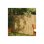 Pantalla De Cañizo Partido Nature 1 X 3 M Natural Para Jardín, Terraza Y Balcón