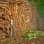 Forbice da potatura bypass GARDENA EnergyCut Pro S 60 cm