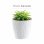 Maceta De Plástico Para Jardín, Terraza O Balcón | Color: Blanco | Diámetro: 15 Cm | Diseño Oasis